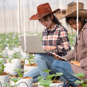 Is Agriculture FFA Education Important?