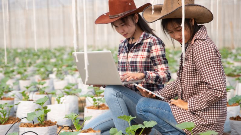 Is Agriculture FFA Education Important?