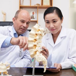 What Education or Degree is Needed to Be a Chiropractor?