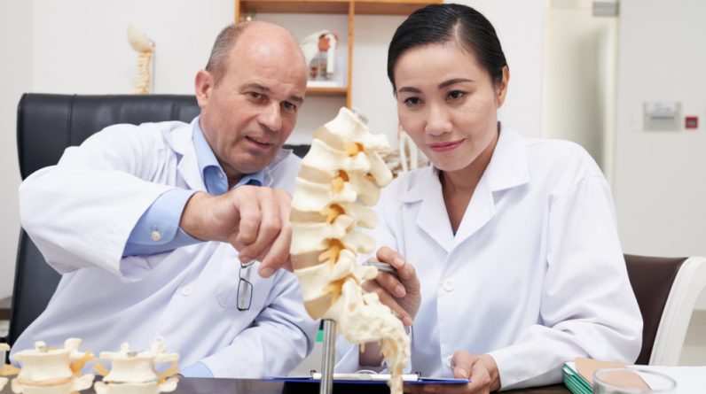 What Education or Degree is Needed to Be a Chiropractor?