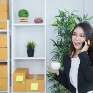 Product Sales Manager: Key Responsibilities, Skills, and Career Path