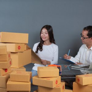 Small and Medium Enterprises (SMEs)