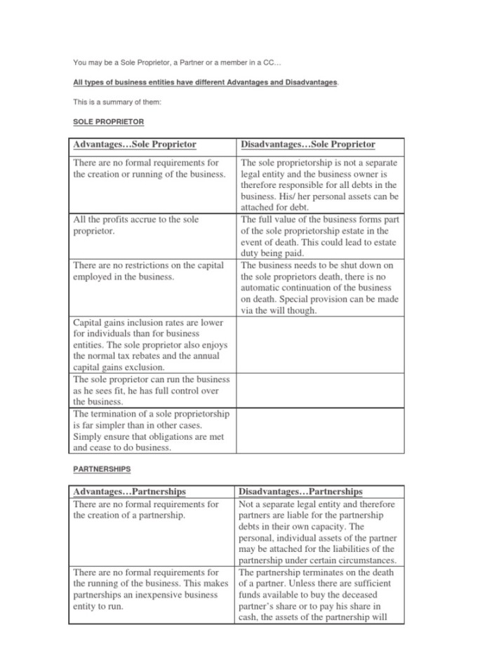 Advantages and Disadvantages of Business Entity Types