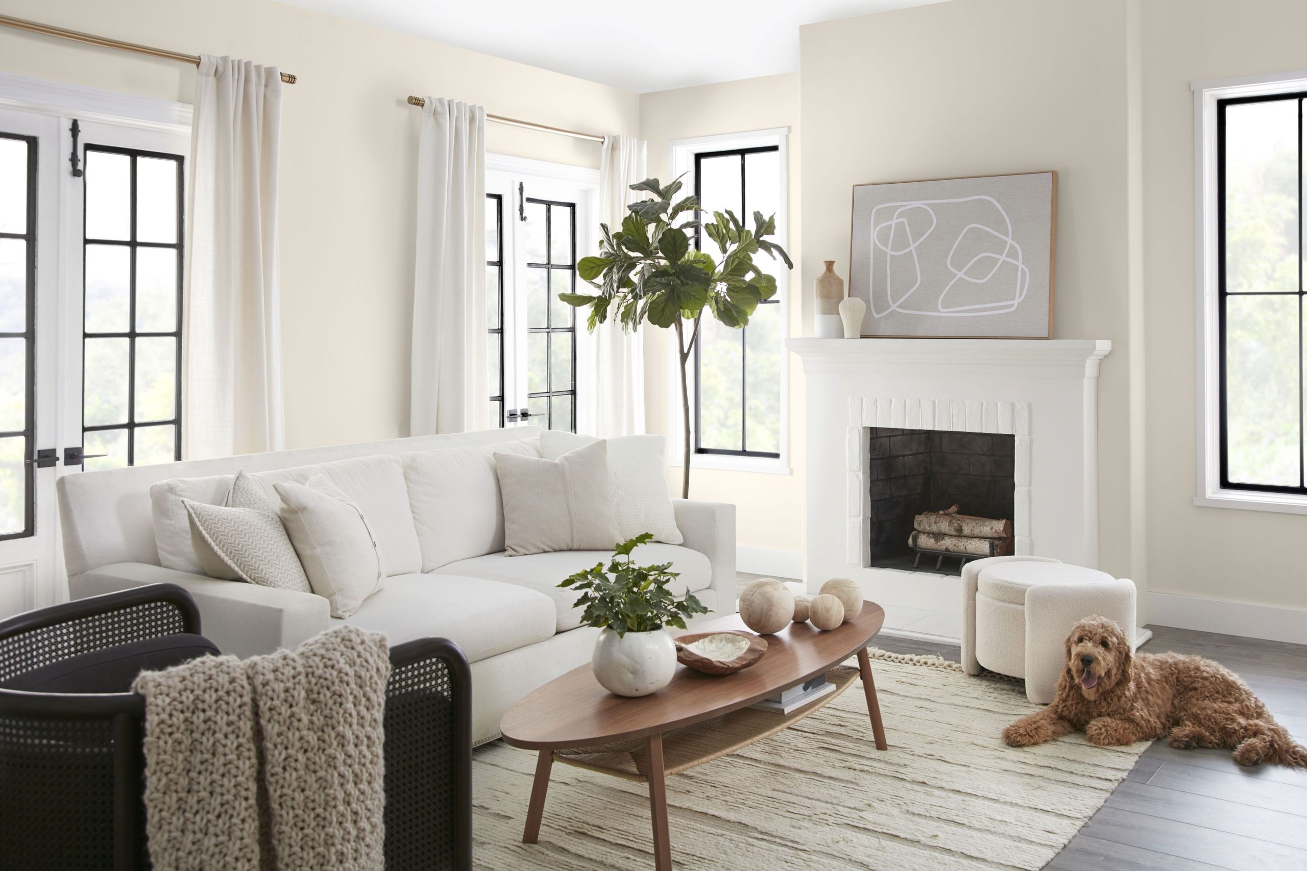 Living Room Paint Colors
